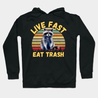 Live fast eat Trash Funny Raccoon Camping Vintage Hoodie